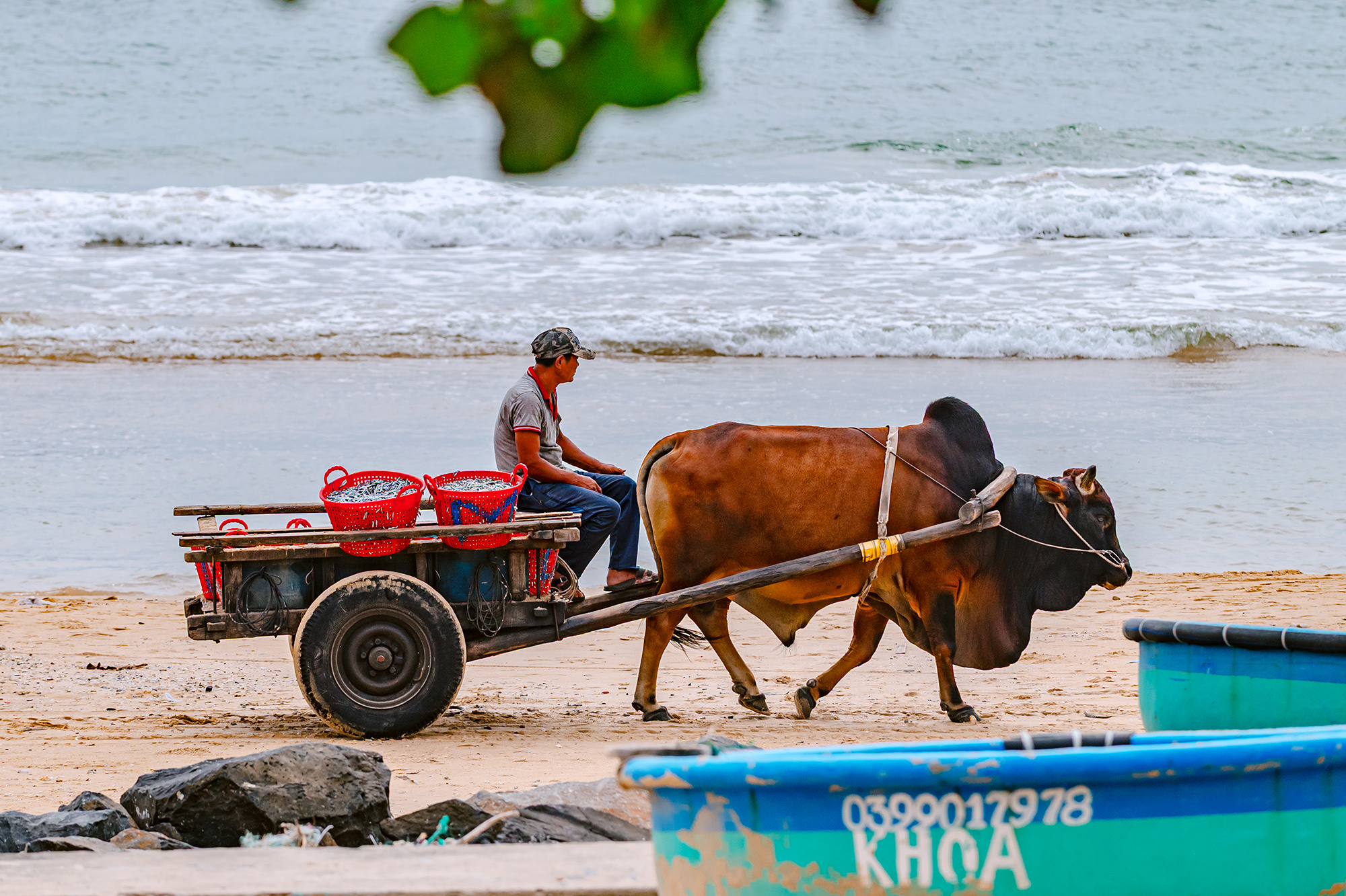 Chợ cá có giá sỉ bằng 1/10 giá lẻ, người bán không nói thách, người mua mang theo cả xe bò - Ảnh 12