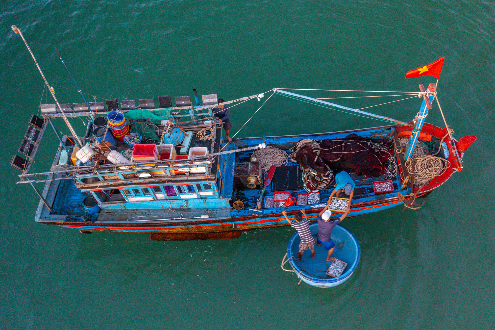 Chợ cá có giá sỉ bằng 1/10 giá lẻ, người bán không nói thách, người mua mang theo cả xe bò - Ảnh 2
