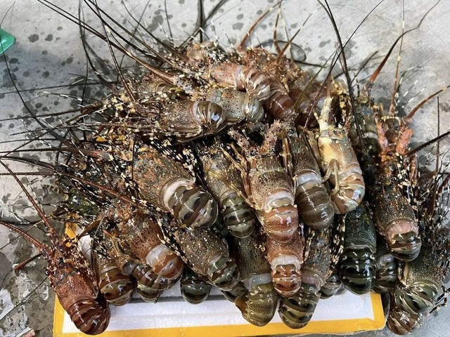 Một sản phẩm của Việt Nam được Trung Quốc cực ưa chuộng, trong 1 tháng chi gần 1.800 tỷ đồng để mua hàng - Ảnh 1