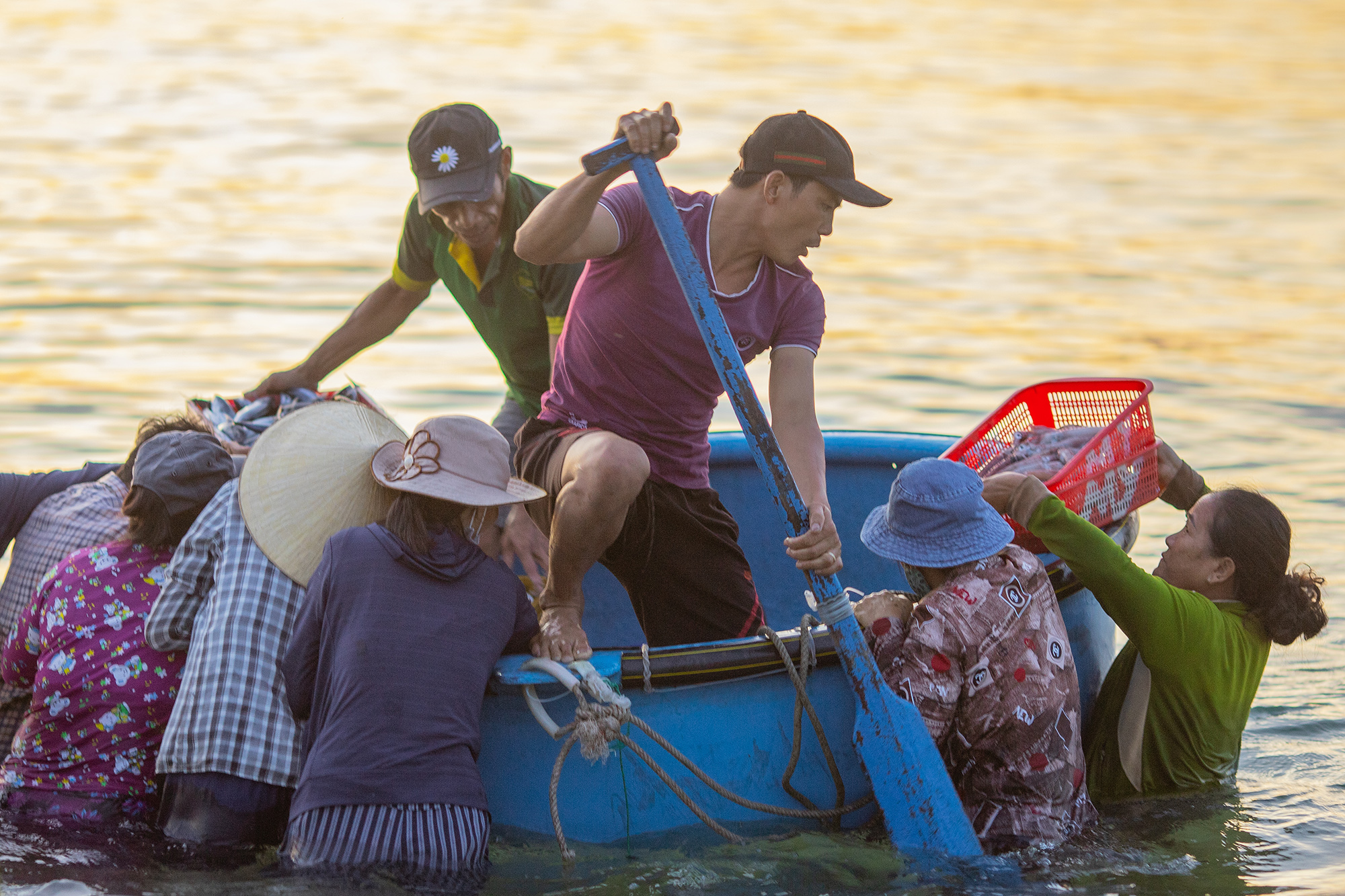 Chợ cá có giá sỉ bằng 1/10 giá lẻ, người bán không nói thách, người mua mang theo cả xe bò - Ảnh 3