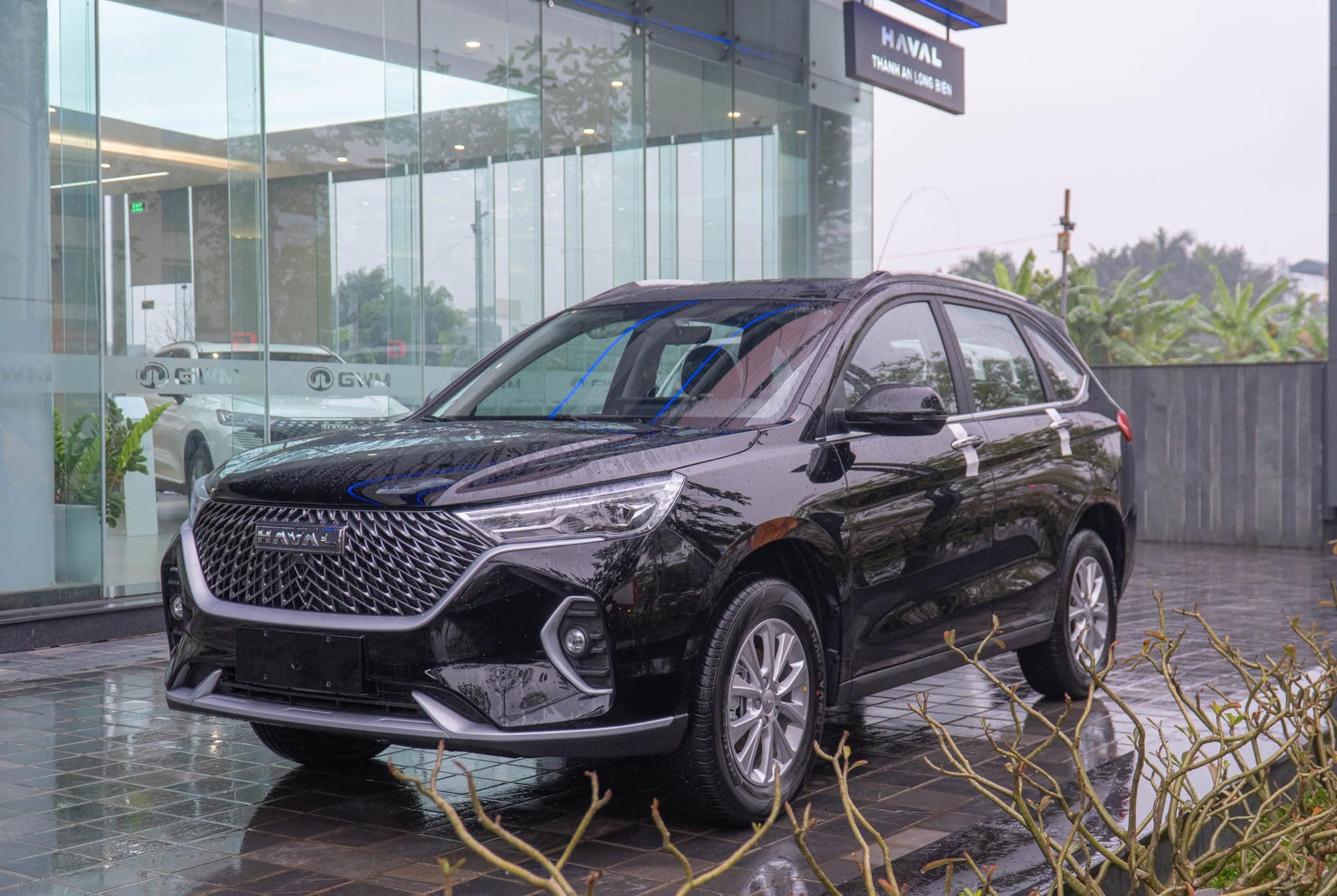 Rộ bảng giá tiền tỷ của loạt xe GWM vừa về Việt Nam: MPV như Alphard hơn 2,6 tỷ, SUV cỡ Land Cruiser hơn 2,1 tỷ đồng - Ảnh 10