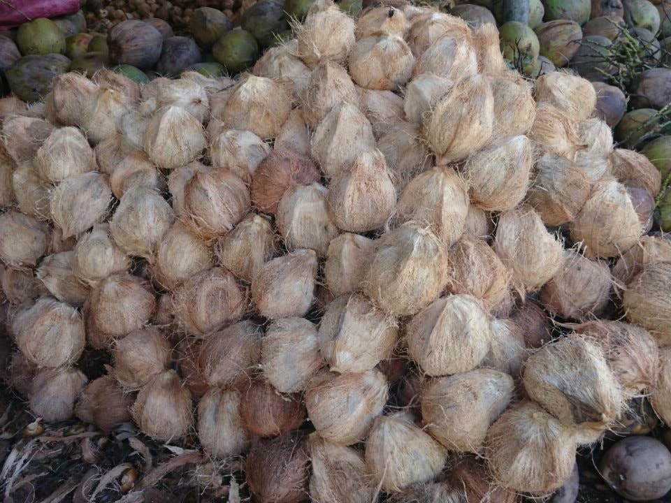 Báu vật trời ban của Việt Nam thẳng tiến vào top 5 thế giới, Trung Quốc ồ ạt "chốt đơn" - Ảnh 1