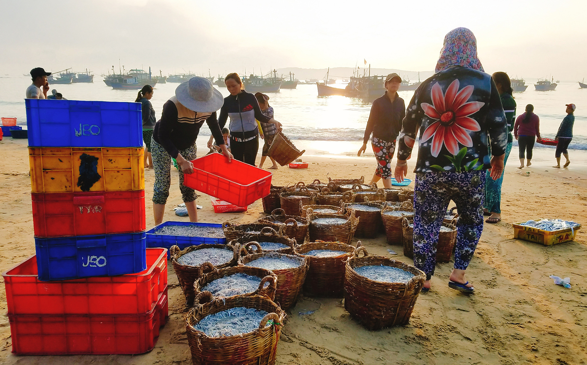 Chợ cá có giá sỉ bằng 1/10 giá lẻ, người bán không nói thách, người mua mang theo cả xe bò - Ảnh 8