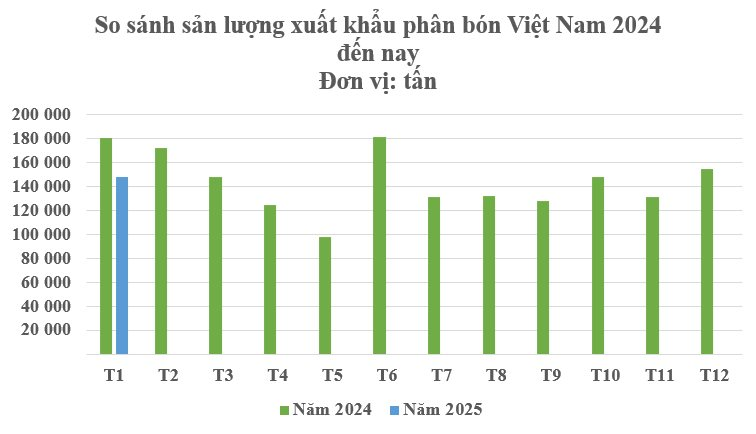 Lào mạnh tay săn lùng một mặt hàng của Việt Nam trong tháng 1: Xuất khẩu tăng hơn 200%, Campuchia, Hàn Quốc cũng đua nhau chốt đơn - Ảnh 2