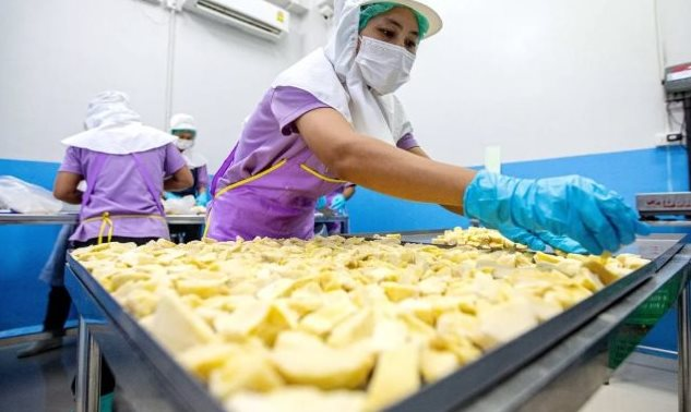 Từng được Trung Quốc săn lùng ‘có bao nhiêu, mua bấy nhiêu’, vì sao xuất khẩu trái cây vua của Việt Nam bất ngờ sụt giảm? - Ảnh 1