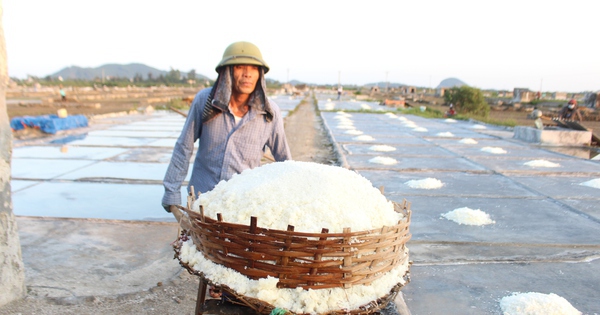 Làm giàu từ hạt muối, trả nợ diêm dân