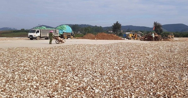 Việt Nam sở hữu 'vựa lúa dưới lòng đất' được Nam Á đổ tiền thu mua hàng nghìn tấn: xuất khẩu tăng hơn 100%, Trung Quốc rốt ráo săn lùng