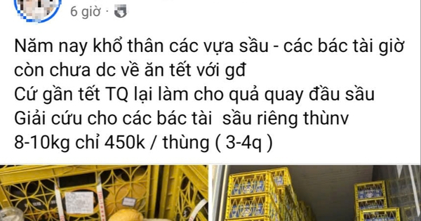 Thực hư “giải cứu” sầu riêng giá siêu rẻ