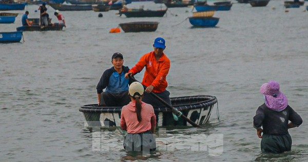 Mất mùa ruốc biển, ngư dân đứng ngồi không yên