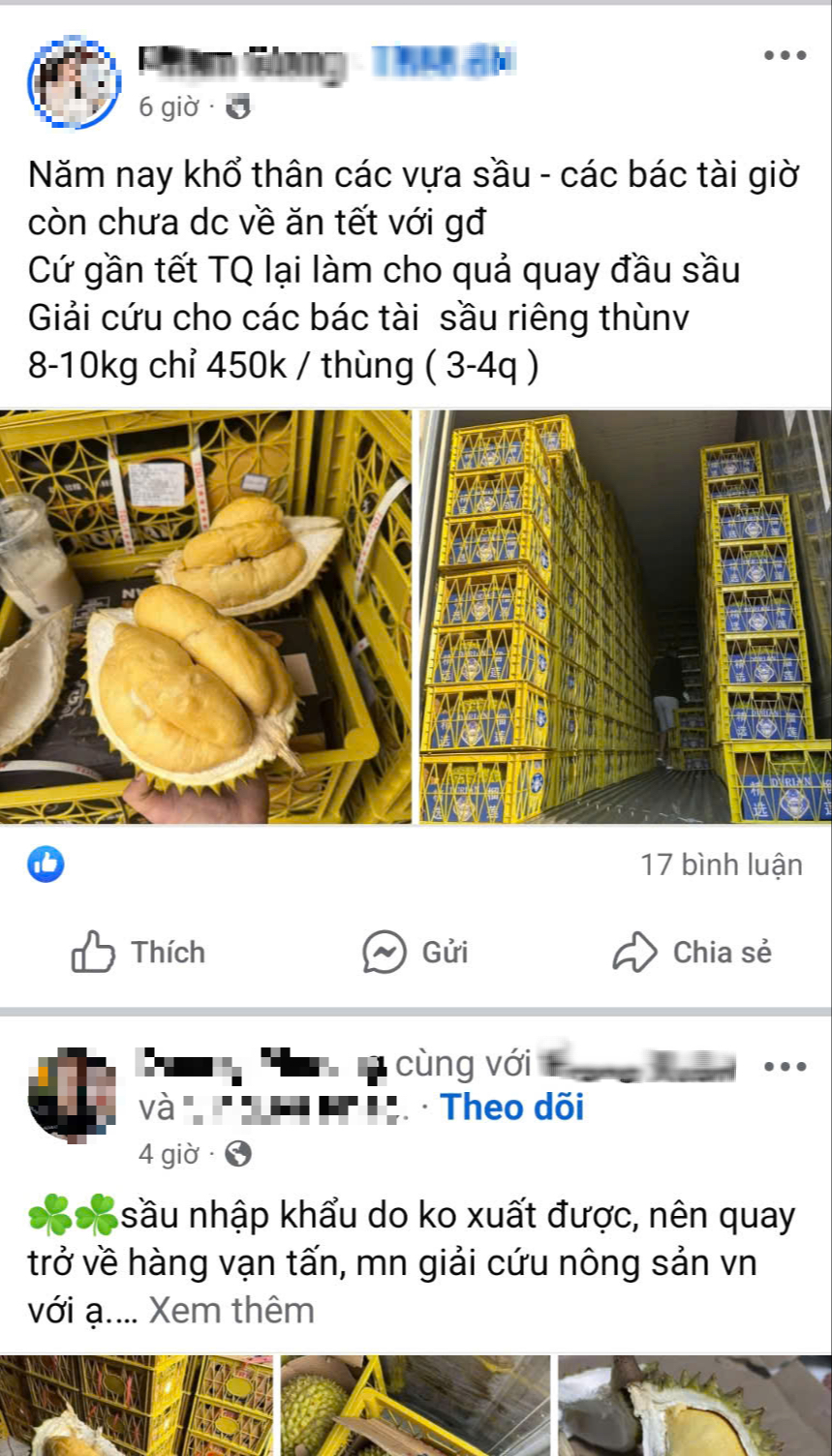 Thực hư “giải cứu” sầu riêng giá siêu rẻ - Ảnh 1