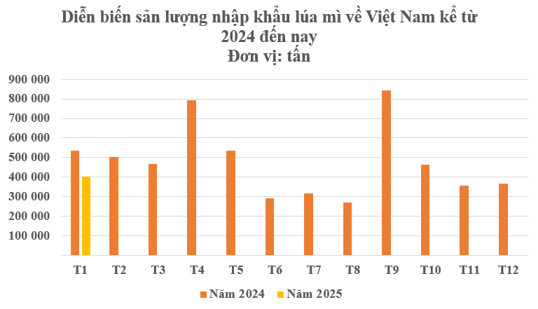 Hàng chục nghìn tấn hàng từ Canada đổ bộ Việt Nam tháng đầu năm: Nhập khẩu tăng hơn 2.000%, là ‘báu vật’ cả thế giới đều cần - Ảnh 2