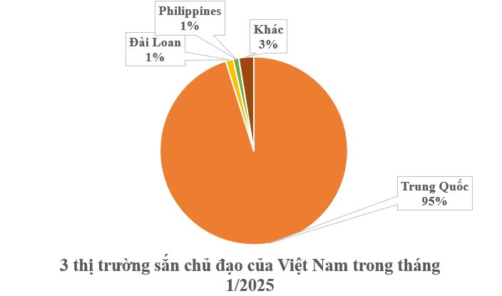 Philippines mạnh tay săn lùng một nông sản của Việt Nam: Từ thân đến lá đều hái ra tiền, nước ta cùng Thái Lan thống trị toàn cầu - Ảnh 2