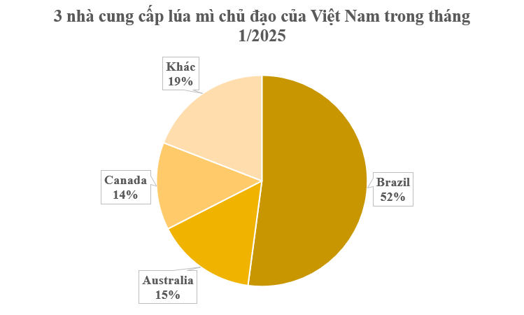 Hàng chục nghìn tấn hàng từ Canada đổ bộ Việt Nam tháng đầu năm: Nhập khẩu tăng hơn 2.000%, là ‘báu vật’ cả thế giới đều cần - Ảnh 3