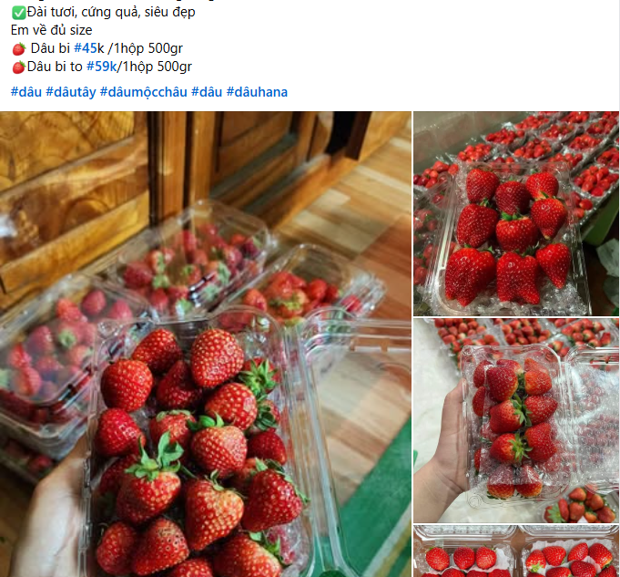 Dâu tây Sơn La ngập chợ, giá rẻ chưa từng có - Ảnh 2