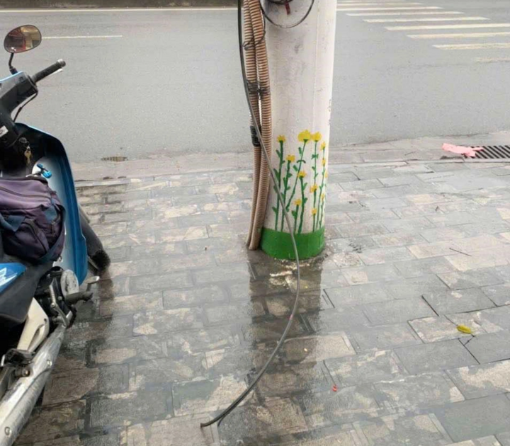 Nợ tiền thuê cột điện, điện lực Ninh Bình cắt cáp SCTV - Ảnh 1