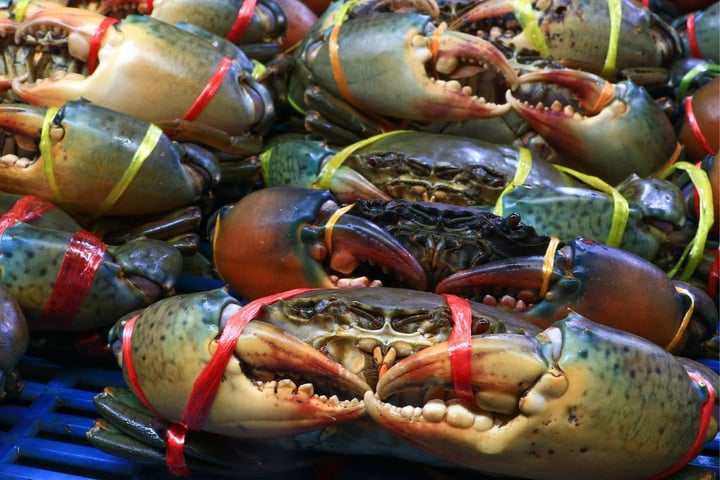 Một loại thủy sản Việt Nam xuất khẩu sang Trung Quốc tăng tới 18 lần - Ảnh 1