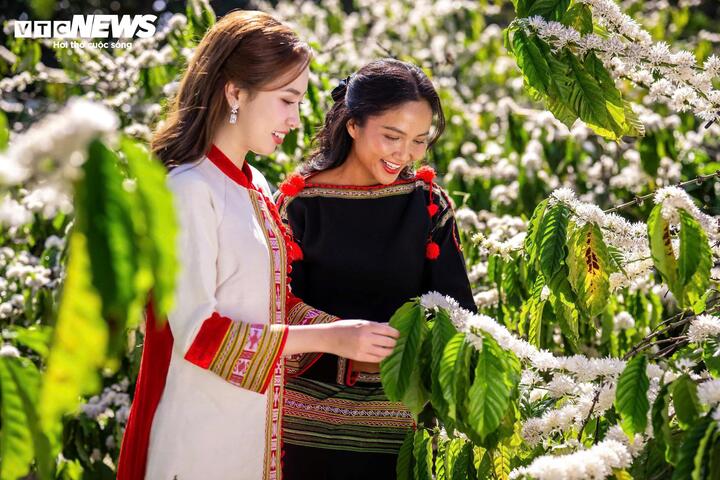 Lý do tiêu thụ cà phê ở Việt Nam chỉ bằng một nửa mức trung bình thế giới - Ảnh 2