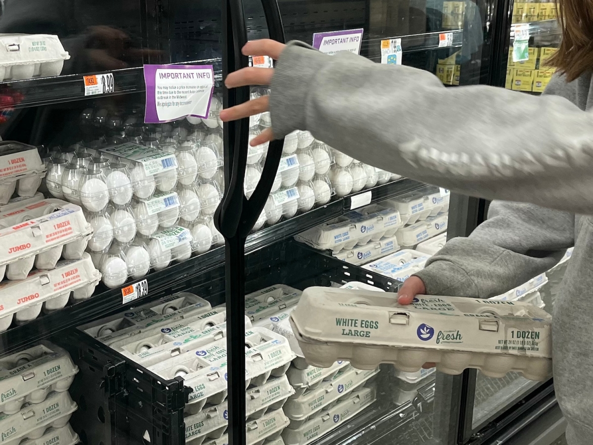 Giá trứng tại Mỹ liên tục tăng vọt, xuất hiện tình trạng "trứng tặc" - Ảnh 1