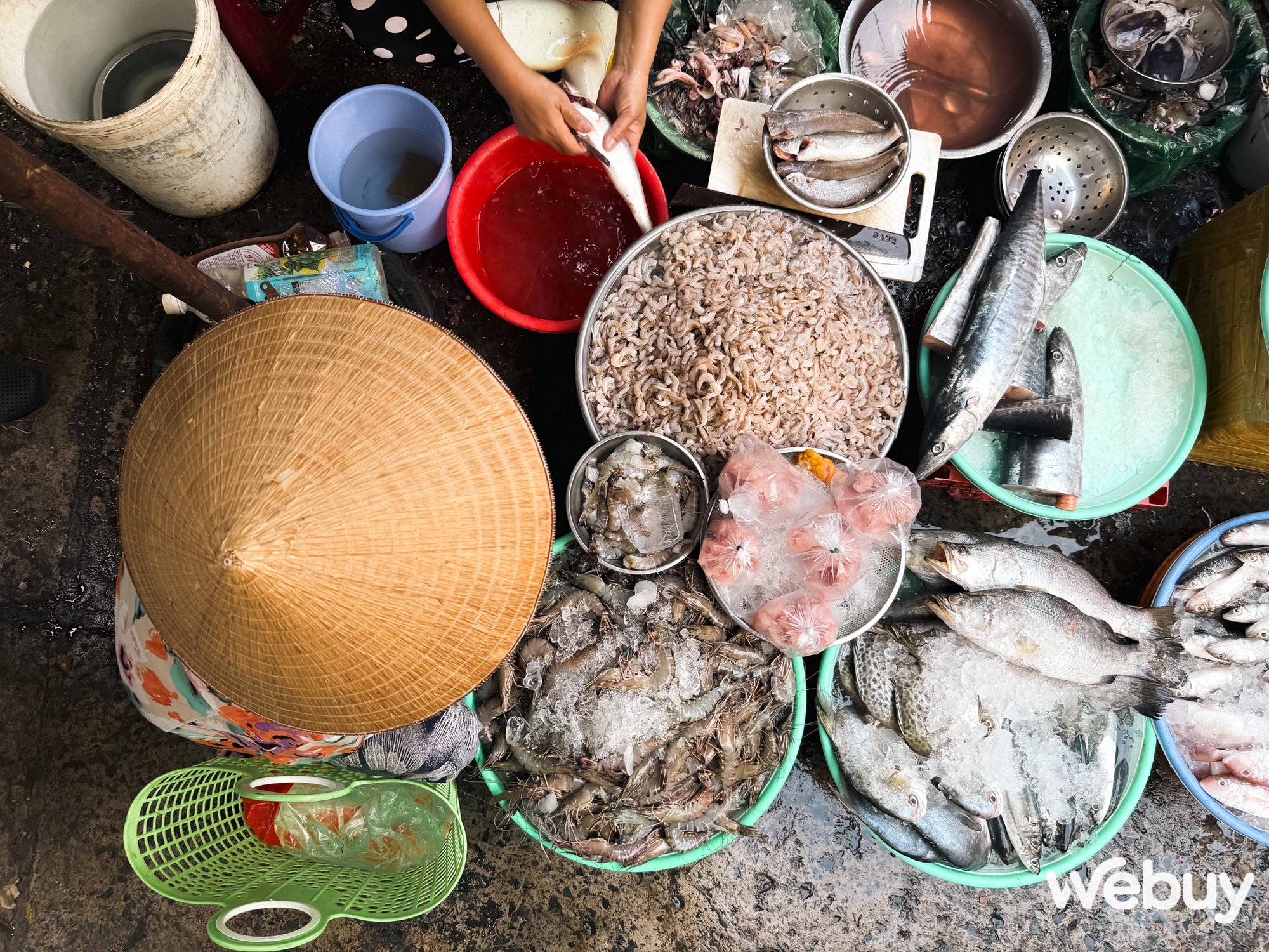 Dùng iPhone 16 Pro Max để chụp ảnh trong 3 tháng qua, đây là những gì tôi nhận ra - Ảnh 4