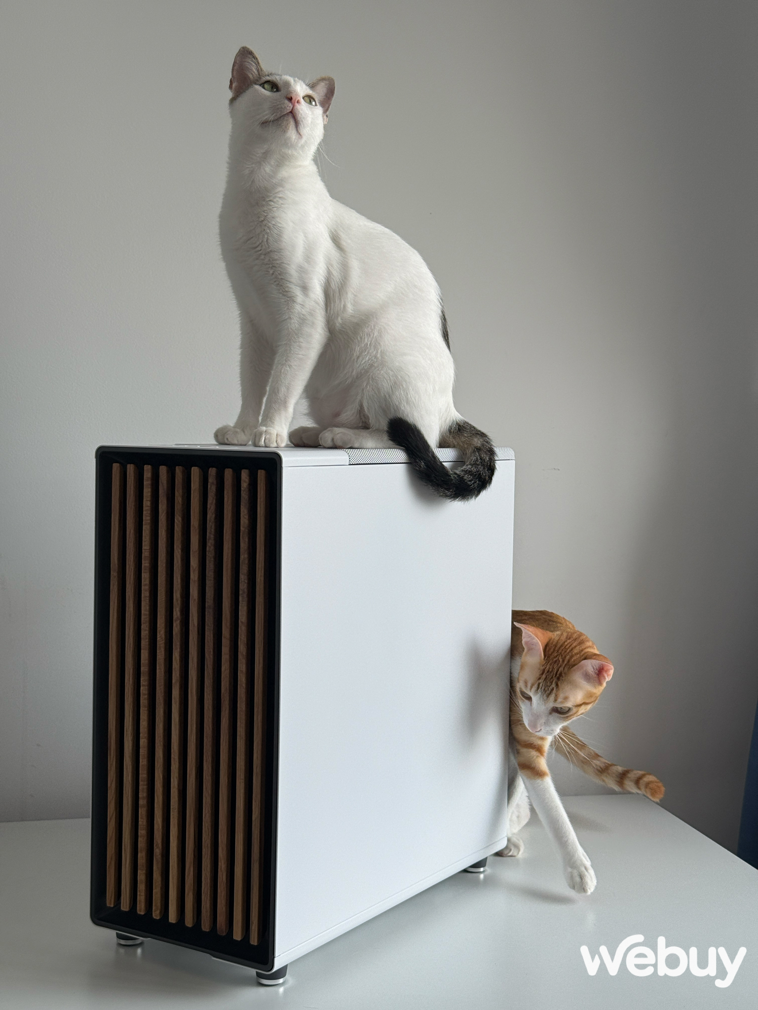 Dùng iPhone 16 Pro Max để chụp ảnh trong 3 tháng qua, đây là những gì tôi nhận ra - Ảnh 12