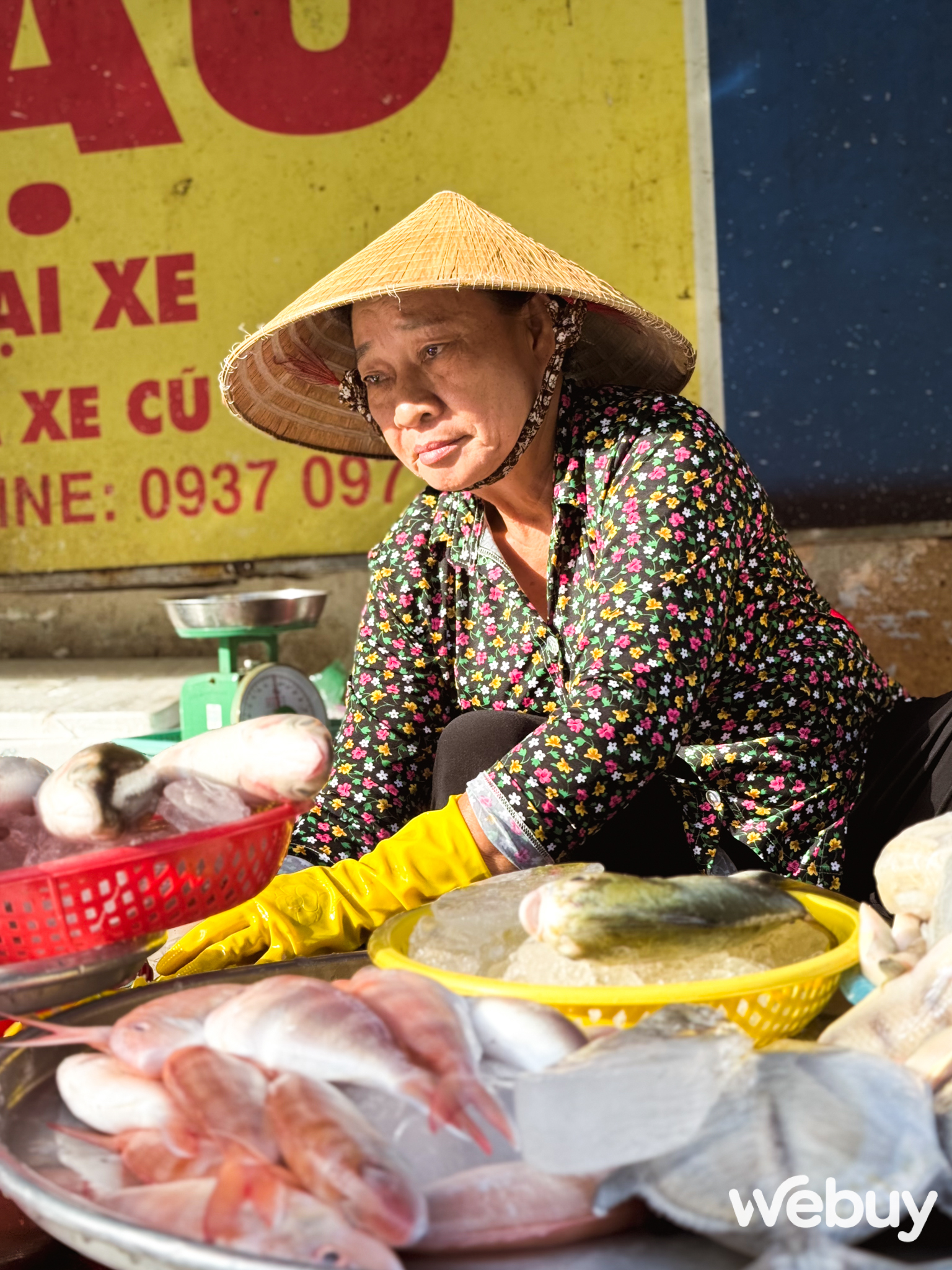 Dùng iPhone 16 Pro Max để chụp ảnh trong 3 tháng qua, đây là những gì tôi nhận ra - Ảnh 11