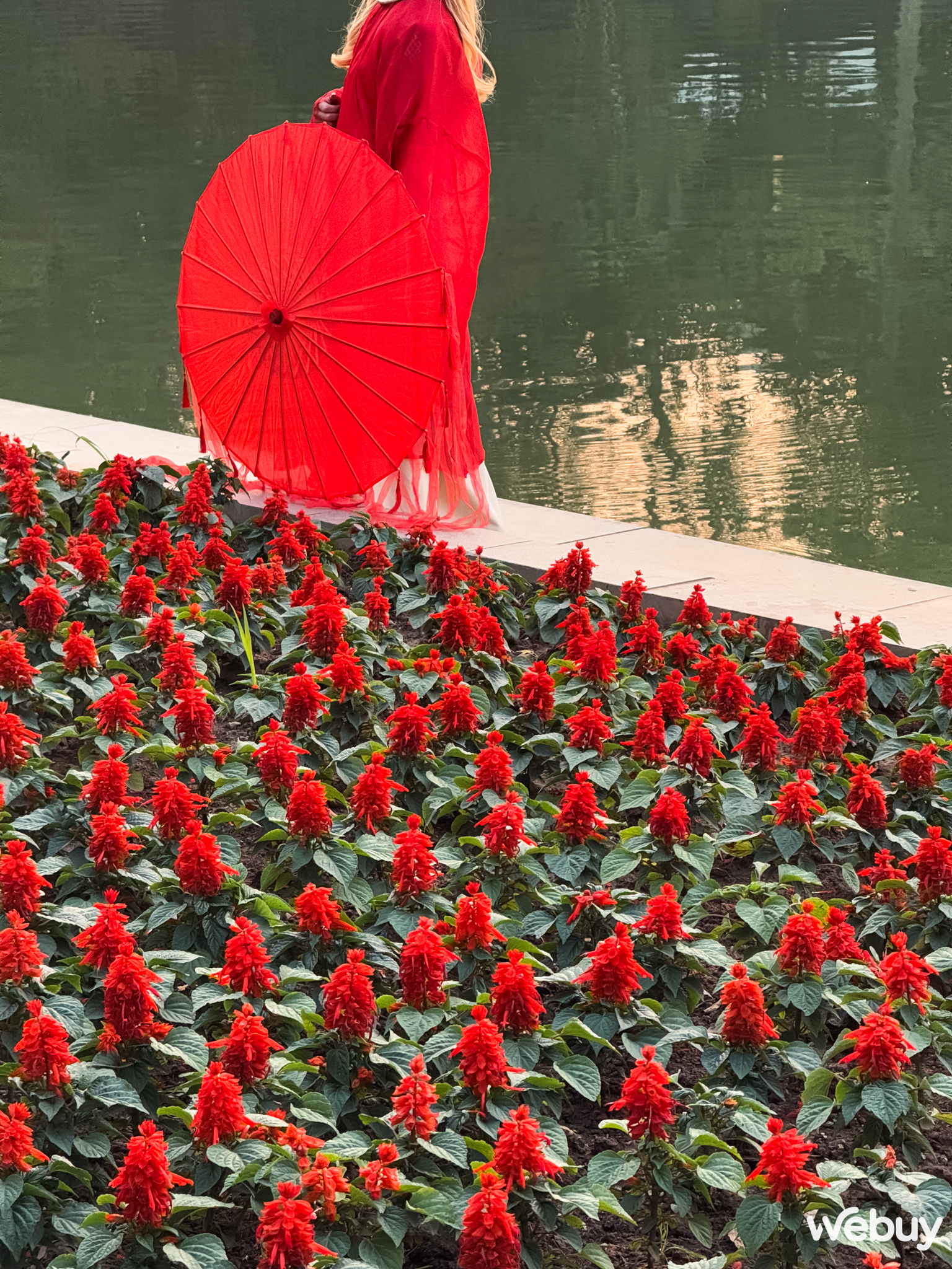 Dùng iPhone 16 Pro Max để chụp ảnh trong 3 tháng qua, đây là những gì tôi nhận ra - Ảnh 16