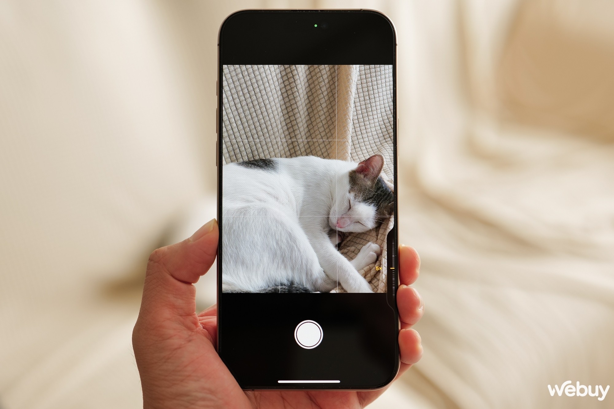 Dùng iPhone 16 Pro Max để chụp ảnh trong 3 tháng qua, đây là những gì tôi nhận ra - Ảnh 13