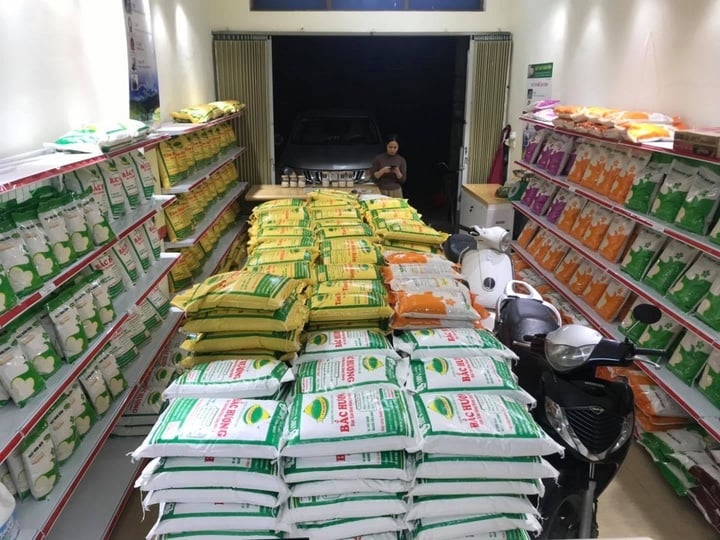 Gạo xuất khẩu rớt giá, vì sao người dân trong nước vẫn phải mua giá cao? - Ảnh 2