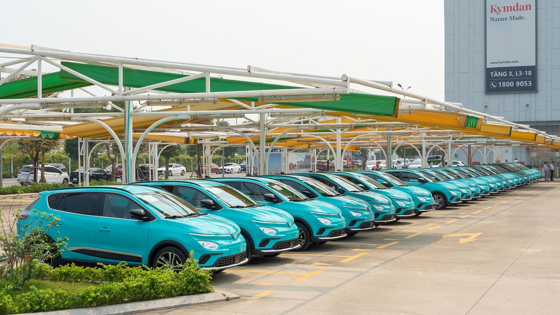 Hãng taxi truyền thống đầu tiên tại Việt Nam "sang trang" 100% xe điện VinFast: Không lột xác sẽ suy tàn - Ảnh 2