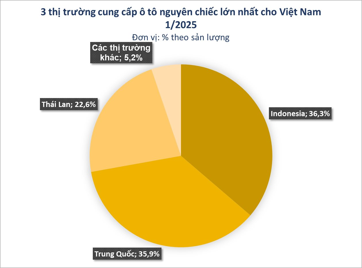 Ô tô Trung Quốc vượt Thái Lan, ồ ạt đổ bộ Việt Nam trong tháng đầu tiên của năm 2025 - Ảnh 2