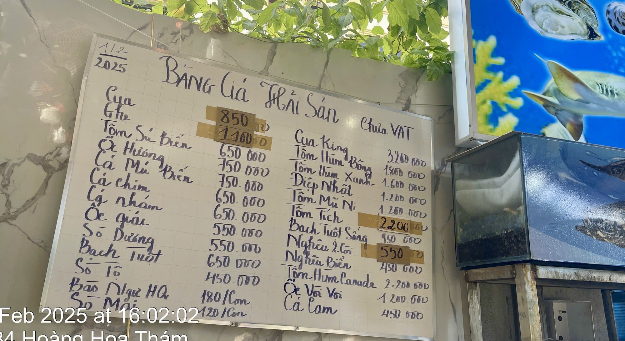 4 con sò điệp giá hơn 1,4 triệu đồng, quán ăn ở Vũng Tàu "bị soi" - Ảnh 4