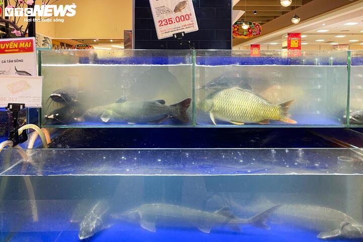 Siêu thị lại đầy ắp hàng hóa sau kỳ nghỉ Tết Nguyên đán Ất Tỵ - Ảnh 8