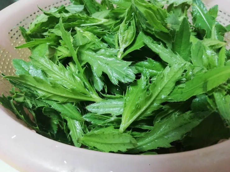 Loài xâm lấn ở Việt Nam, từng là “rau cứu đói”, nay là đặc sản “hái ra tiền” ở nước ngoài - Ảnh 4