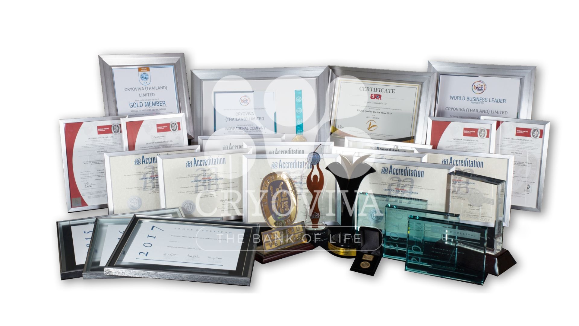 Lưu trữ tế bào gốc chuẩn AABB tại Cryoviva: Chuẩn quốc tế, chi phí Việt - Ảnh 2