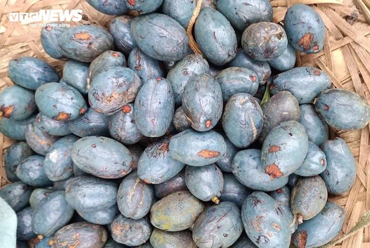 Loại quả rẻ tiền ở Phú Thọ bất ngờ thành đặc sản khó mua - Ảnh 2