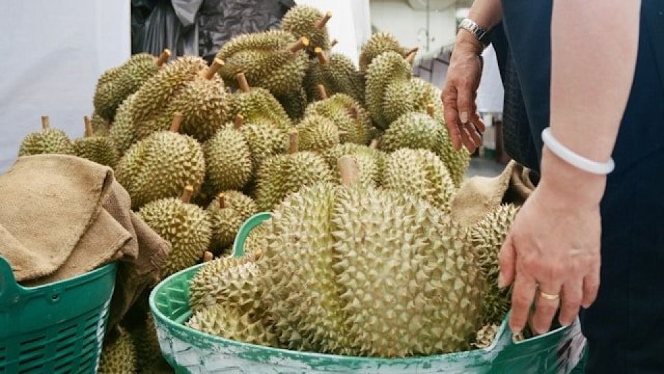 Sầu riêng Thái Lan 'gặp hạn' tại Trung Quốc - Indonesia, Malaysia 'mở cờ trong bụng', hô hào nhà xuất khẩu trong nước 'thừa thắng xông lên' - Ảnh 2