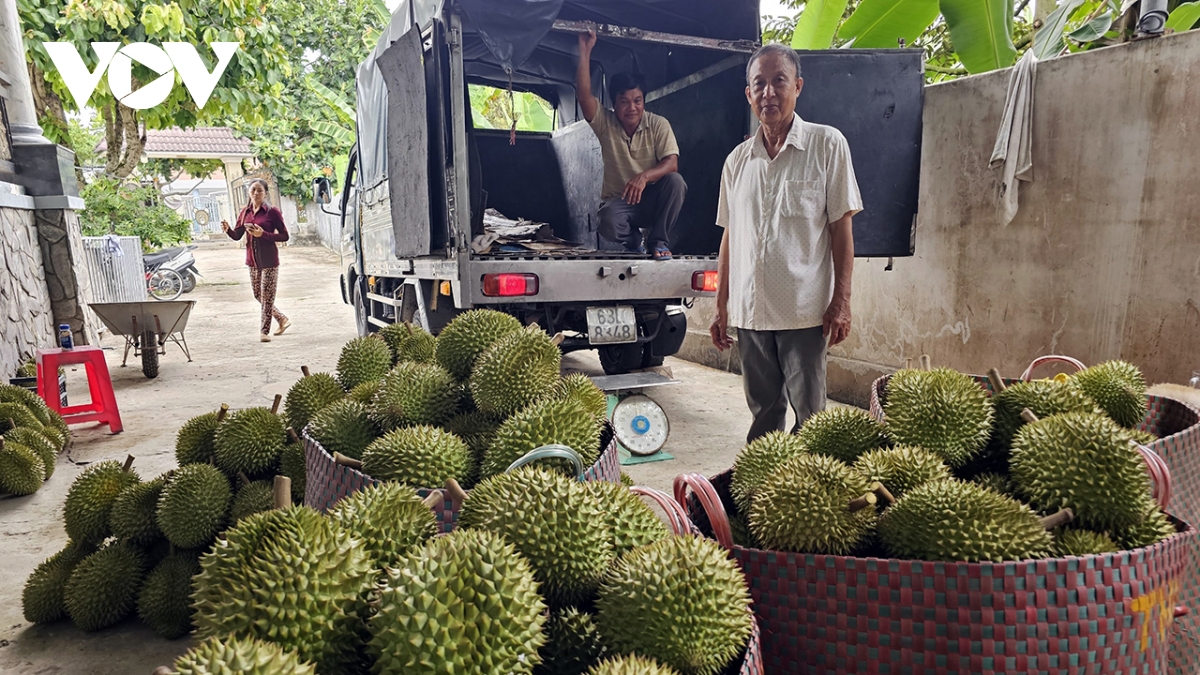 Việt Nam gia tăng lợi thế xuất khẩu trái cây, rau quả sang thị trường Trung Quốc - Ảnh 1