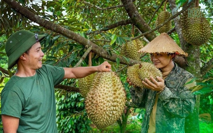 Vì sao giá sầu riêng sau Tết rẻ giật mình? - Ảnh 1