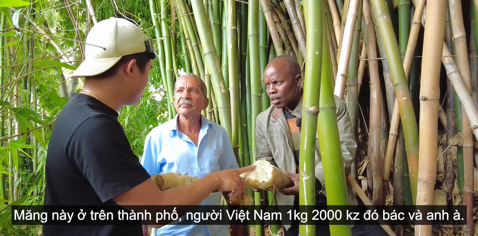 'Sản vật' trồng khắp Việt Nam từ gốc đến ngọn đều hái ra tiền, sang châu Phi thành của lạ khiến trưởng công an huyện phải thốt lên: "Người Việt thật thông minh" - Ảnh 4