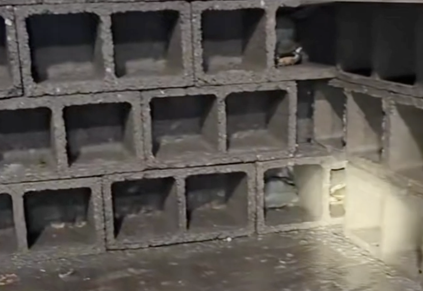 Chàng trai xây "chung cư" cho cua thu hút triệu view trên TikTok - Ảnh 1