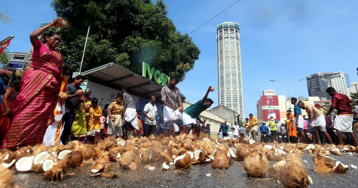 Giá tăng 50% vẫn không có hàng, nước ASEAN này đang thiếu một sản phẩm là đặc sản 1 tỷ USD của Việt Nam - Ảnh 2