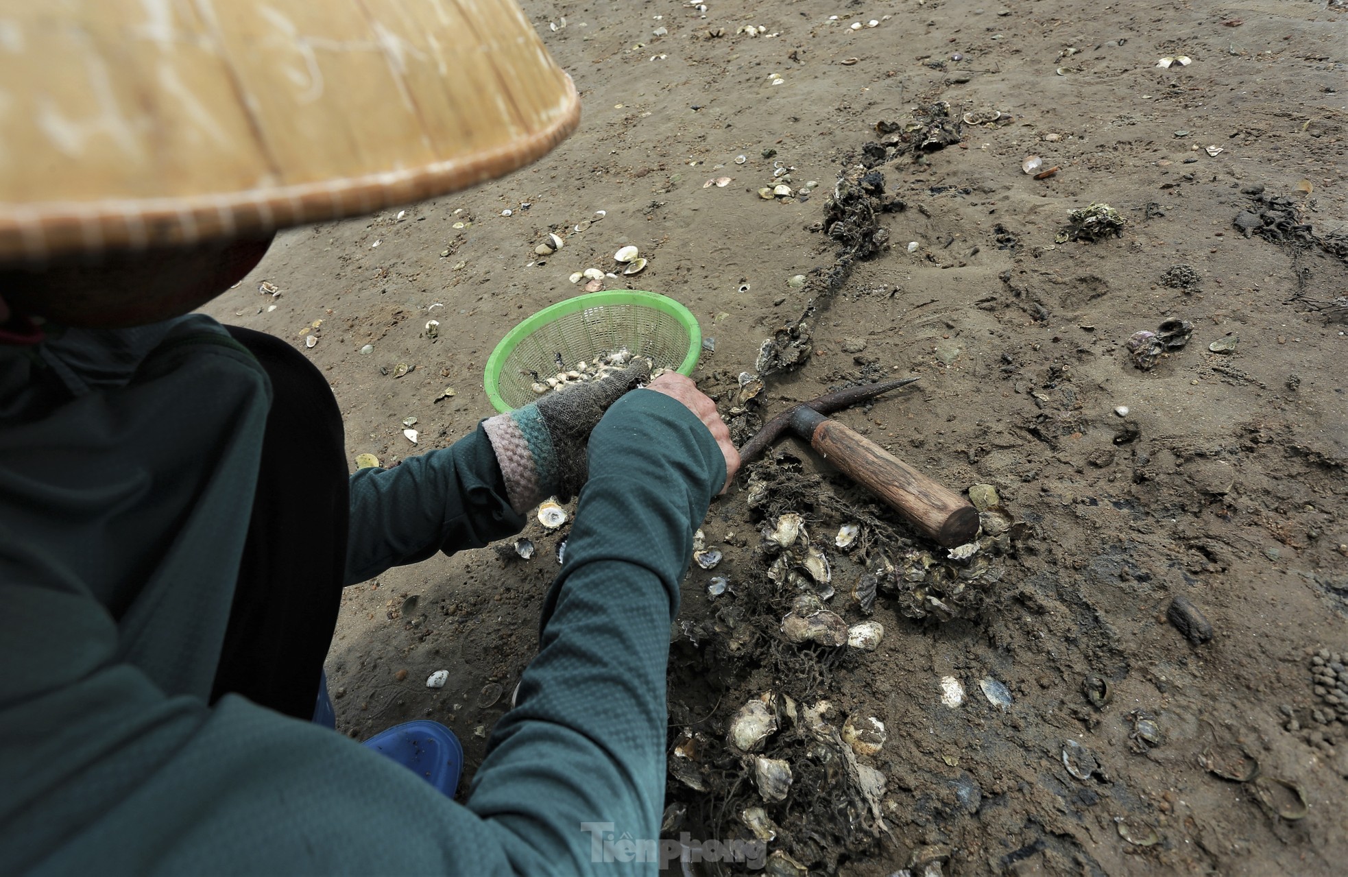 Mưu sinh nơi cửa biển giữa giá rét ngày đầu năm - Ảnh 11