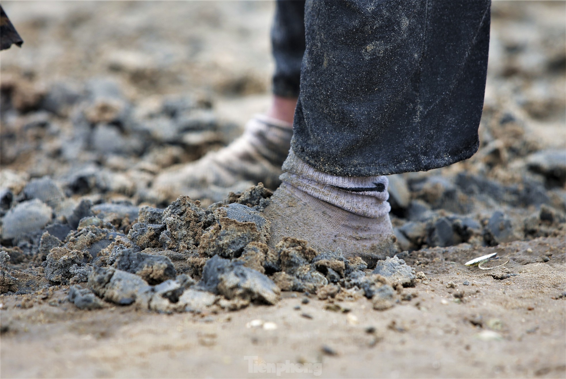 Mưu sinh nơi cửa biển giữa giá rét ngày đầu năm - Ảnh 5