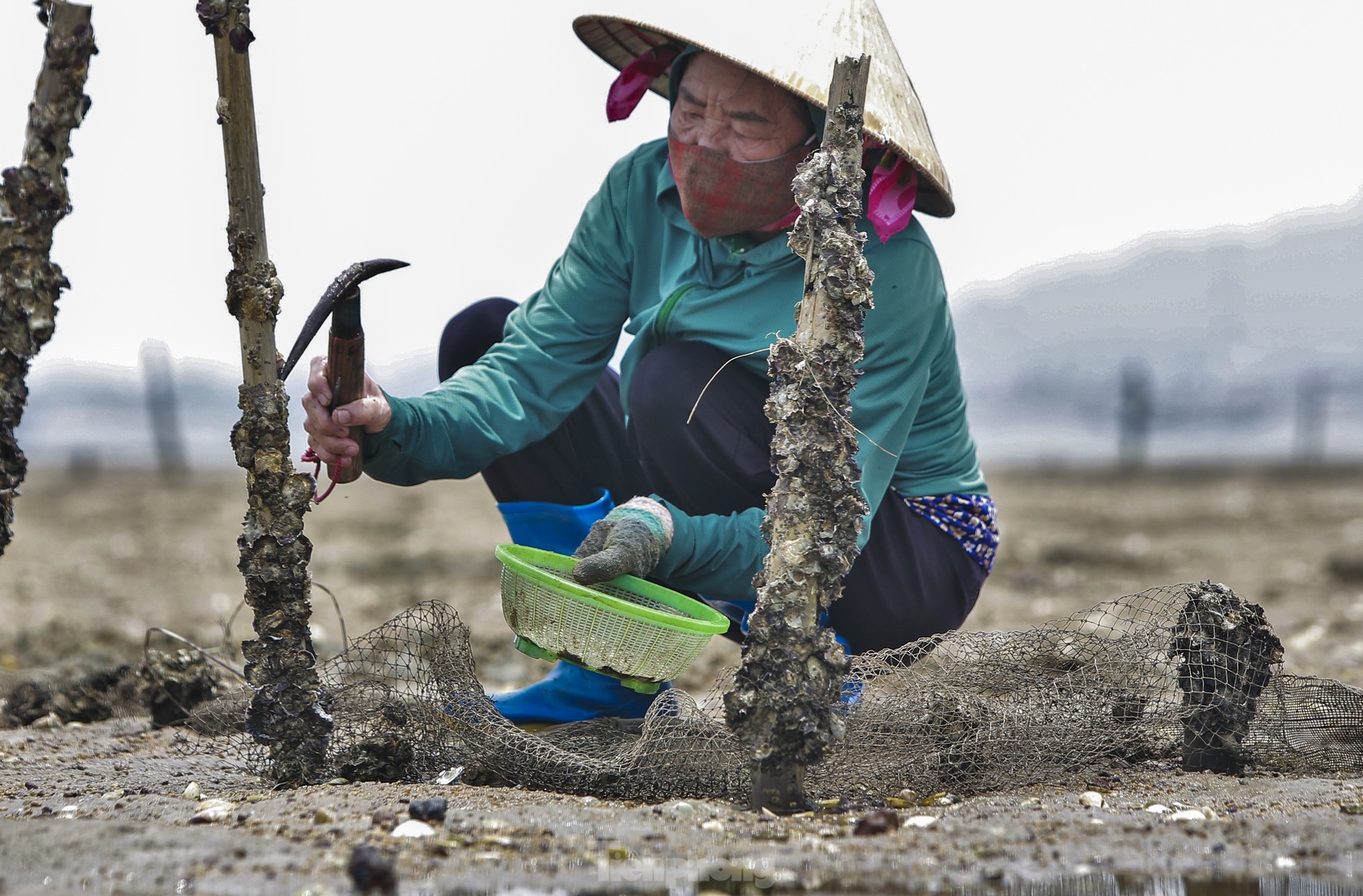 Mưu sinh nơi cửa biển giữa giá rét ngày đầu năm - Ảnh 10