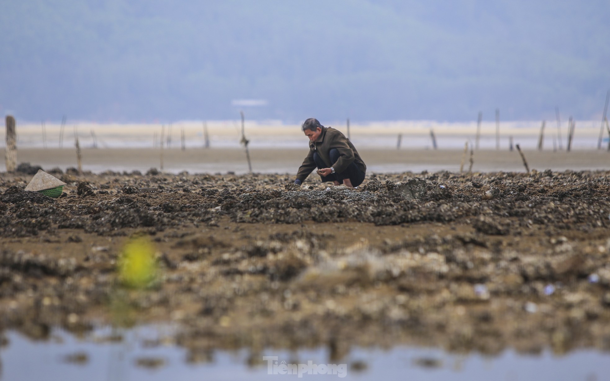 Mưu sinh nơi cửa biển giữa giá rét ngày đầu năm - Ảnh 1