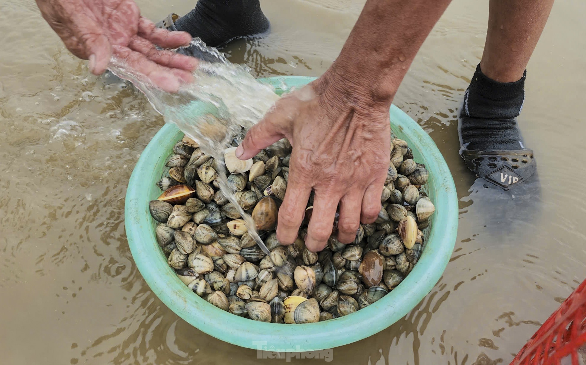 Mưu sinh nơi cửa biển giữa giá rét ngày đầu năm - Ảnh 9