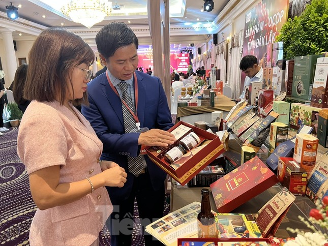 Giá cà phê tăng vọt, nông dân thu nhập cao chót vót - Ảnh 3