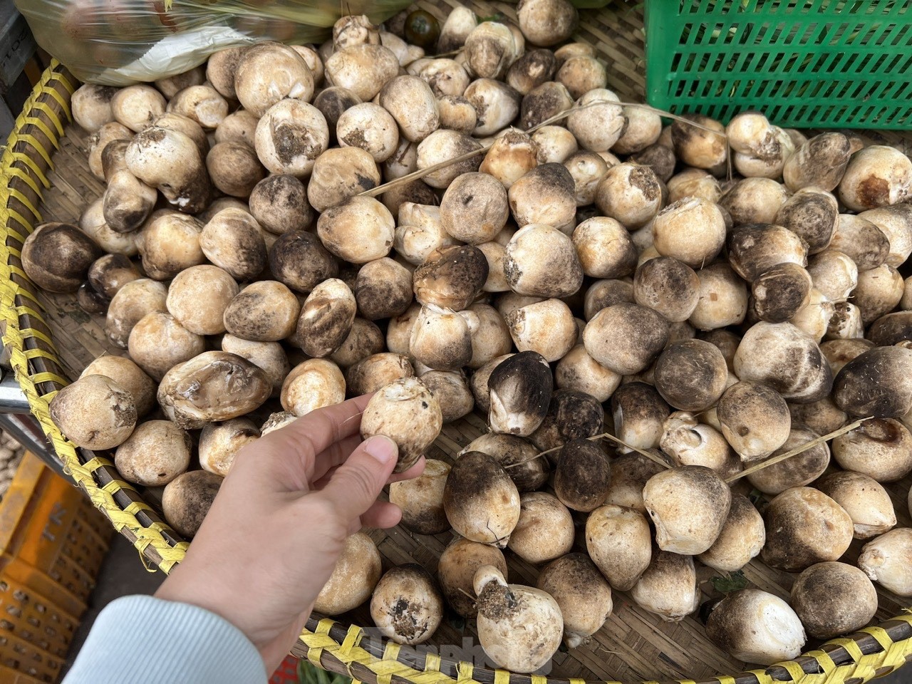 Nấm rơm tăng giá chóng mặt trước rằm tháng Giêng - Ảnh 5