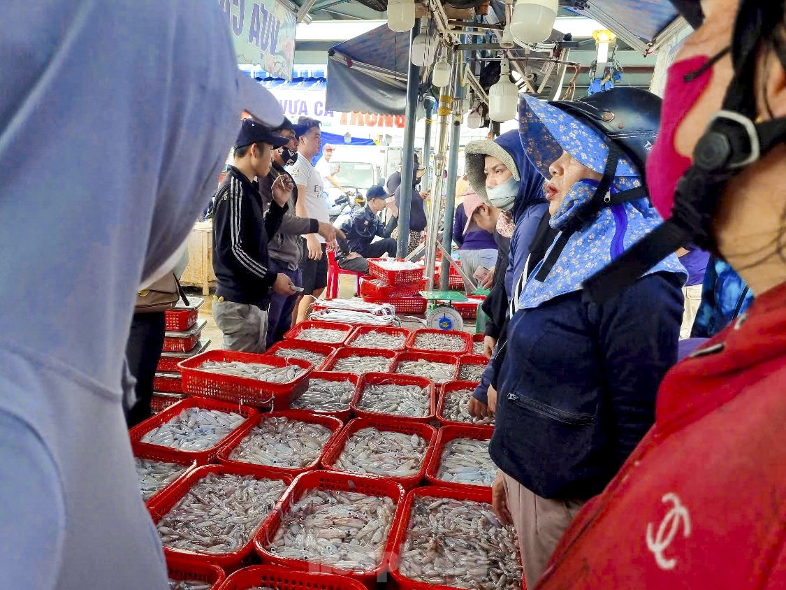 Mực tươi đầy ắp, mua bán nhộn nhịp ở cảng cá lớn nhất miền Trung - Ảnh 7