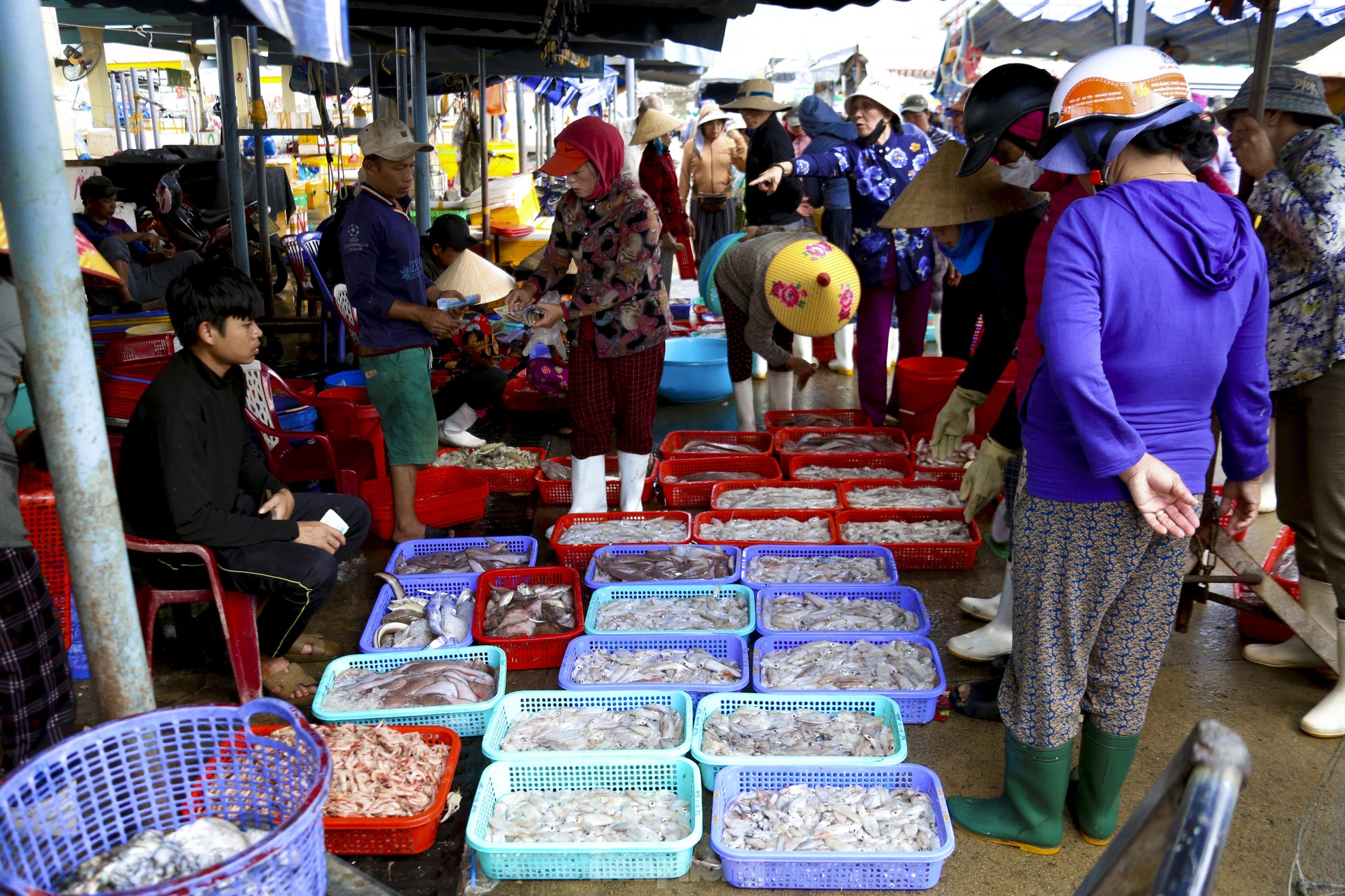 Mực tươi đầy ắp, mua bán nhộn nhịp ở cảng cá lớn nhất miền Trung - Ảnh 11